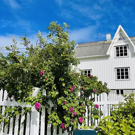 #Reinehuset - Amazing View! Villa Exterior photo