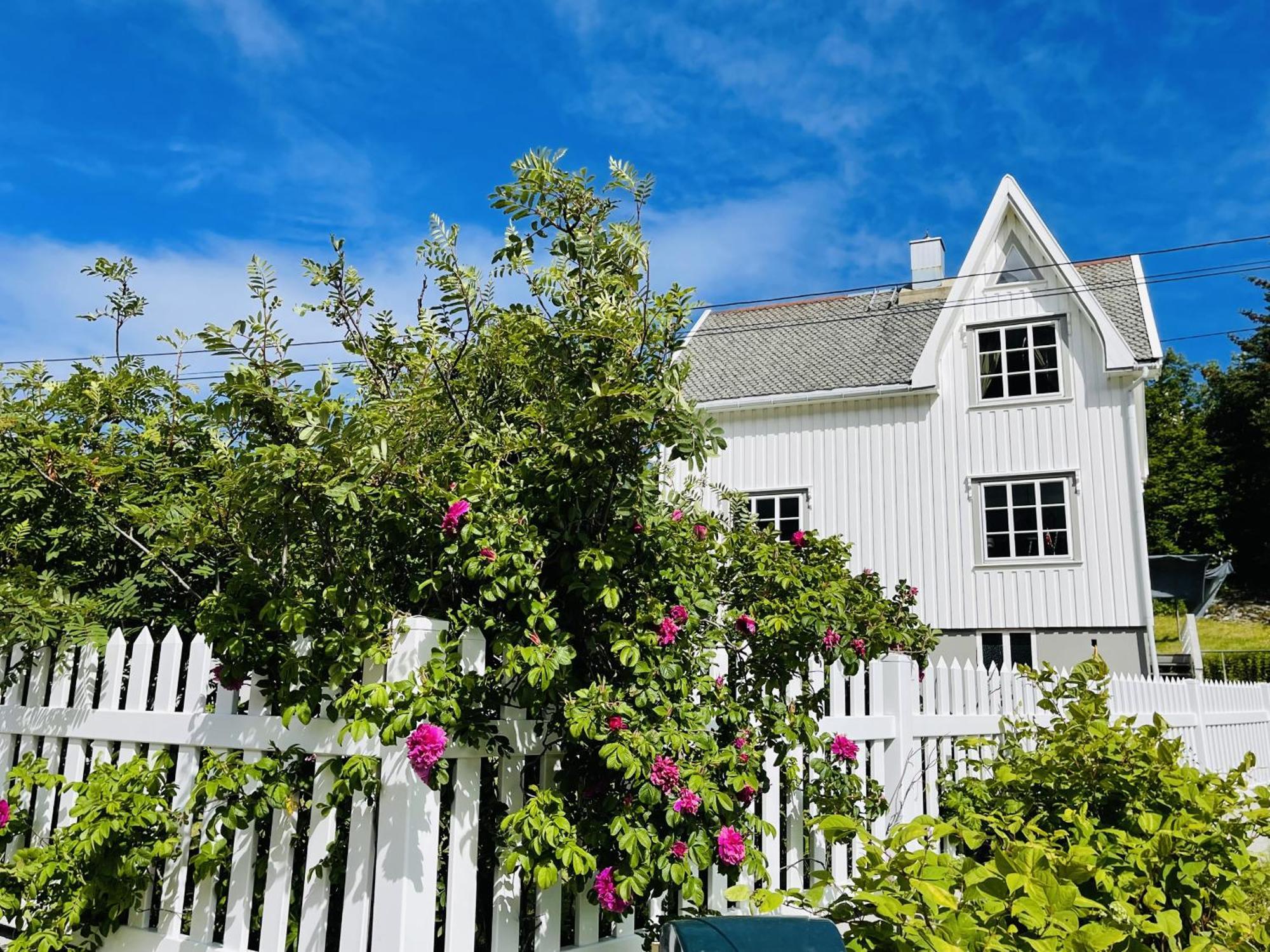 #reinehuset - Amazing View! Reine